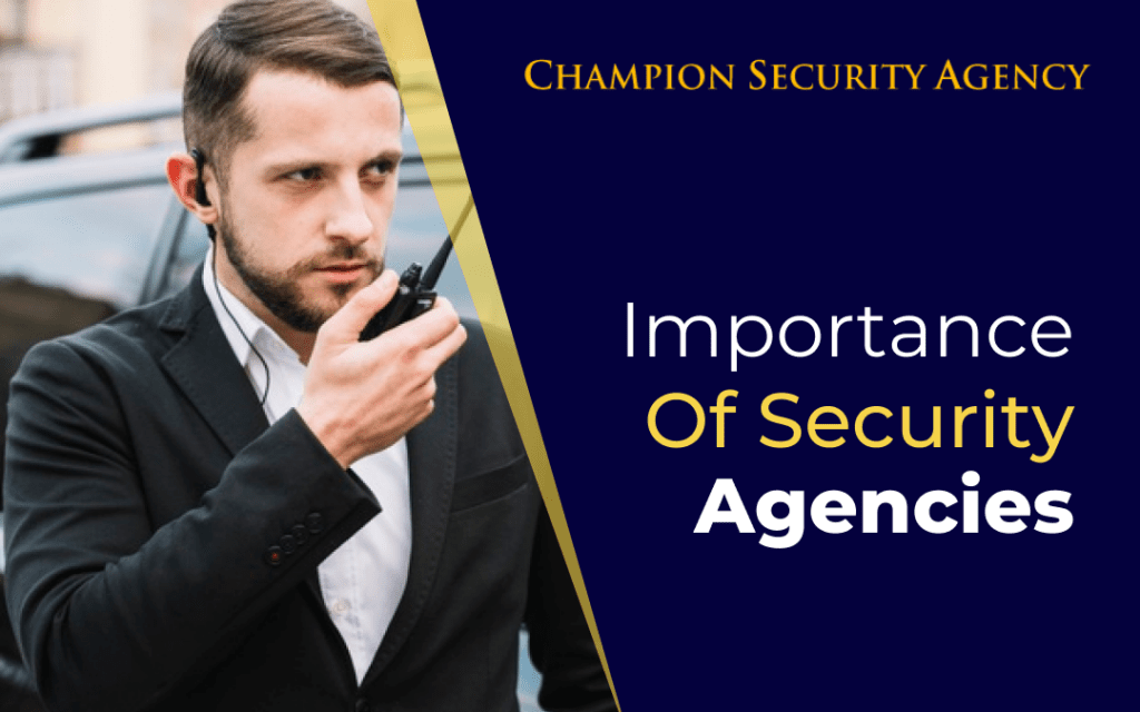 Importance of security agency