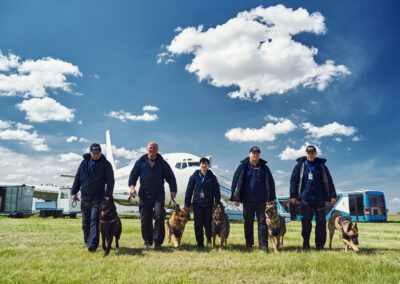 Security officers with detection dogs walking down airfield