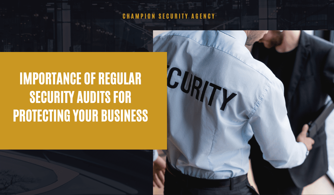 Importance of Regular Security Audits for Protecting Your Business