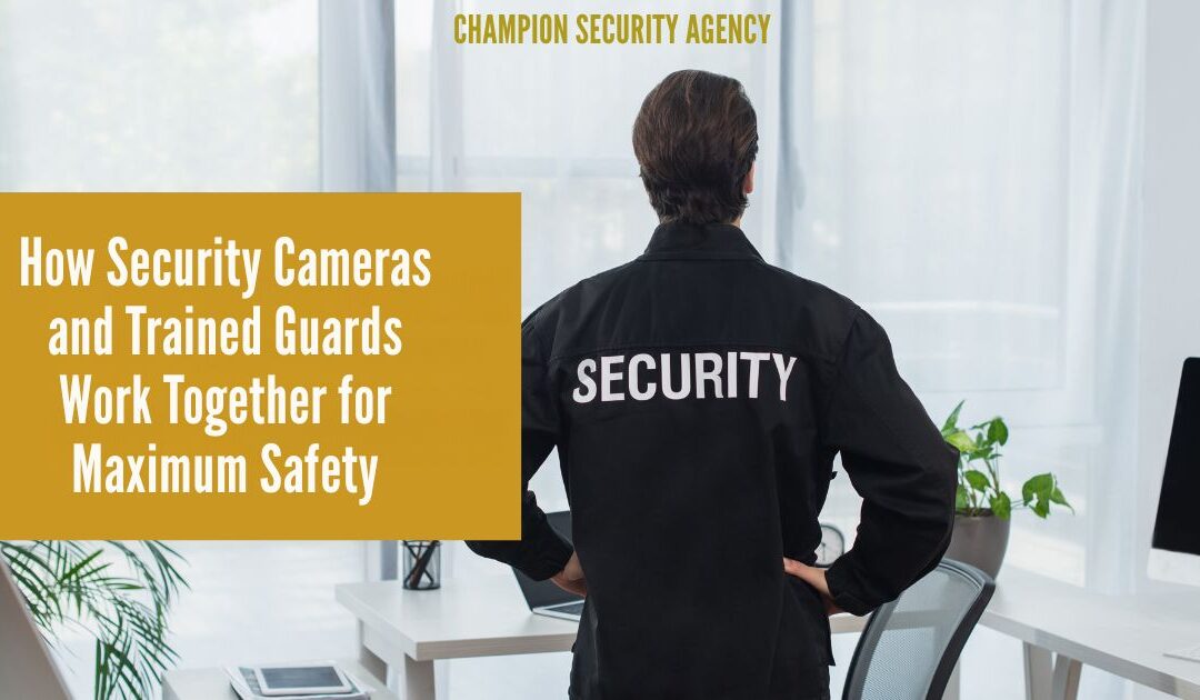 How Security Cameras and Trained Guards Work Together for Maximum Safety